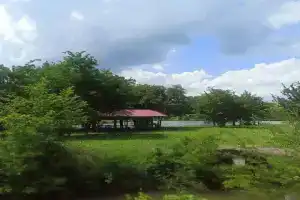 База отдыха «Дальний кордон», Новодмитриевская