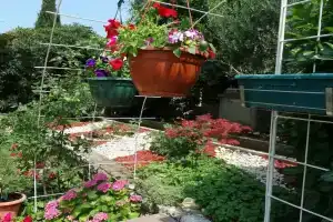 Đurđa - A2-veliki, Цриквеница