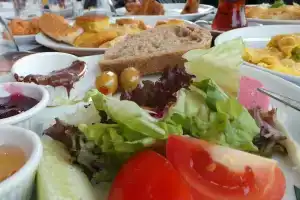Hotel Olivia, Согучак