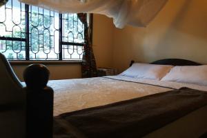 Jutland Lodge Moshi, Моши