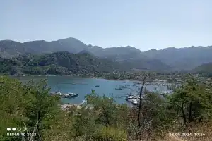 Orhaniye Incir, Орхание