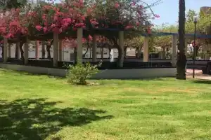 Apartamento San Pascual, Торревьеха