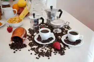 Flower Bed & Breakfast, Кампобассо