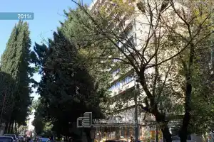 Сочи Эксперт, Сочи