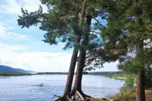 Сосенки на Волге, Самара