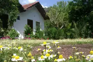 Engin, Чиралы