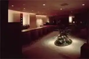 Arima Onsen Kinzan, Кобе