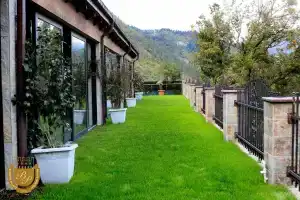 Отель «Borjomi Palace Health & Spa Center»