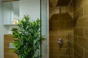 Zen Alpin Studio, Брашов
