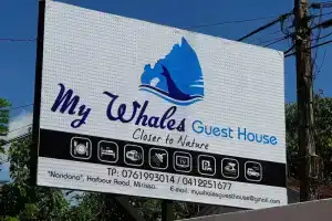 My Whales Guest House, Mirissa South