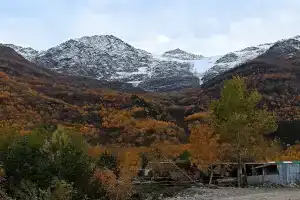 Божий Дар