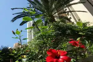 Best View Welcome Apartamentos Karola, Бенидорм