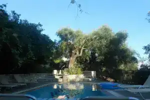 Aphrodite Apartments, Ниссаки
