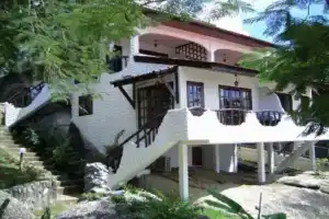 Mango Village, Ламаи