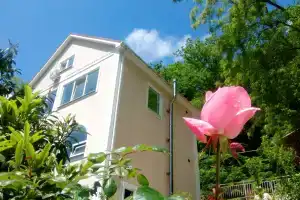 Гостевой дом «Зеленая гора», Ольгинка