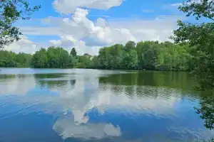 База отдыха «Береза Кантри», Пешково