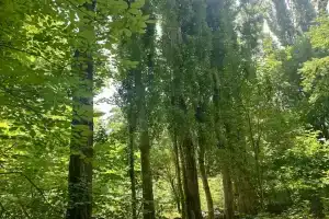 Corner Guesthouse Verishen, Горис