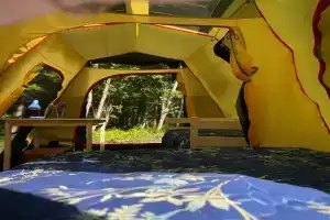 Глэмпинг «Пение птиц»