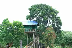 Yala Wilderness Safari Camp, Тиссамахарама