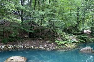 Дом для отпуска «Беной», Старый Сивух