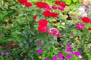 Гостевой дом