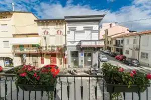 Casa Fubis, Виареджио