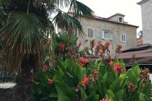 Square 44 Apartment, Будва