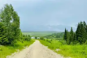Гостиница «Метелица», Бедярыш