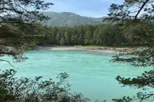 База отдыха «Берег Катуни», Чепош