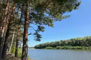 Усадьба «Степанкино» в Звениговском районе