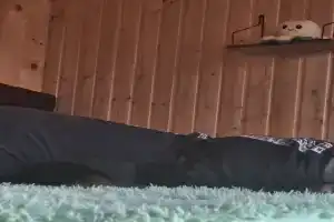 База отдыха Брейтово, Брейтово