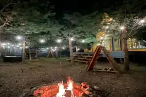 Гостевой дом «Рай в шалаше (Кусочек рая в соснах)»