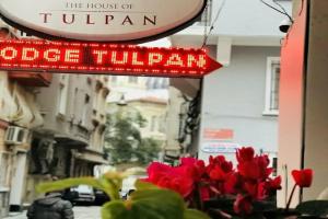 Мини-отель «The House of Tulpan», Стамбул
