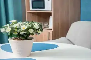 Гостевой дом «Дубрава», Хохряки