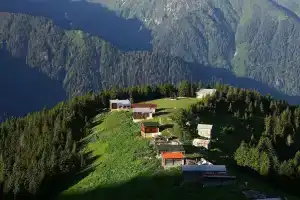 Pokut Doga Konuk Evi, Чамлыхемшин