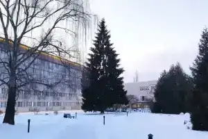 Озоровительный Комплекс «Десна», Воскресенское