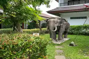 Sunwing Kamala Beach, Камала