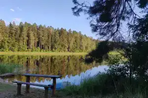 Кемпинг «Янтарный берег» в Лепельском районе