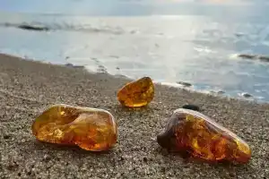 Четыре сезона, Зеленоградск
