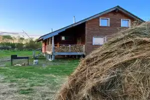 Верхом по Мещёре в Спасском районе