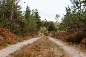 Дом для отпуска «Тишь», Холюны