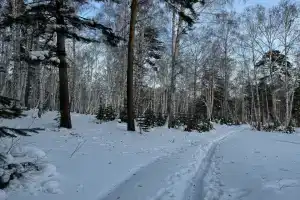 На опушке, Слюдорудник