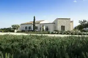 CuoreVerde, Шикли