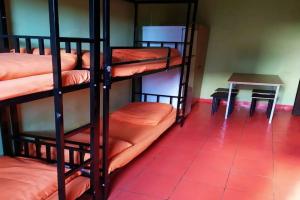 Хостелы Хостелы