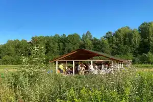 Агроусадьба «Каникулы на Люнде», Владимирское