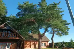 Гостевой дом «Старый Млын» в Несвижском районе