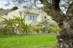 Отель «Little Palm»