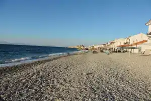 Palm Beach Hotel, Коккари