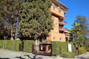 Pettirosso, Стреза