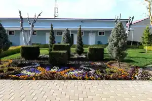 Дом для отпуска у Петровича, Великовечное